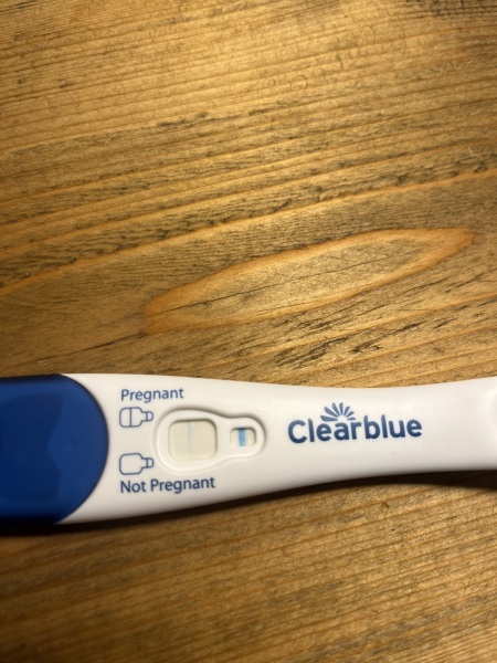 Faint line 10DPO on ClearBlue but other tests negative? False positive or too early?