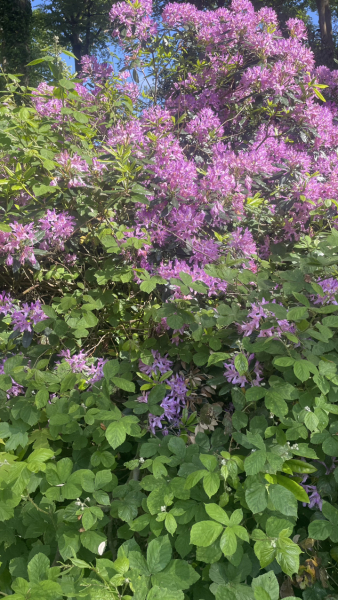 Any Witches here? Part 20