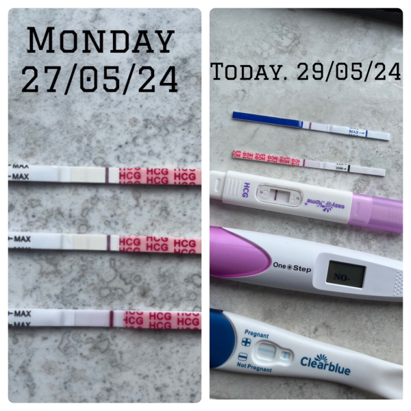 Chemical Pregnancy..