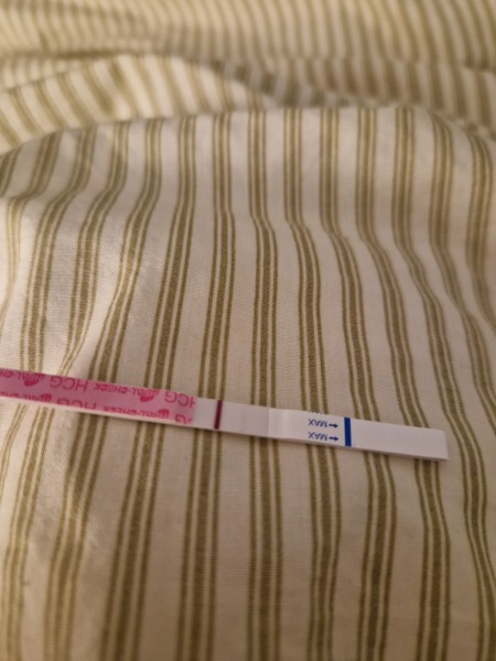 FET - day 8 Lines