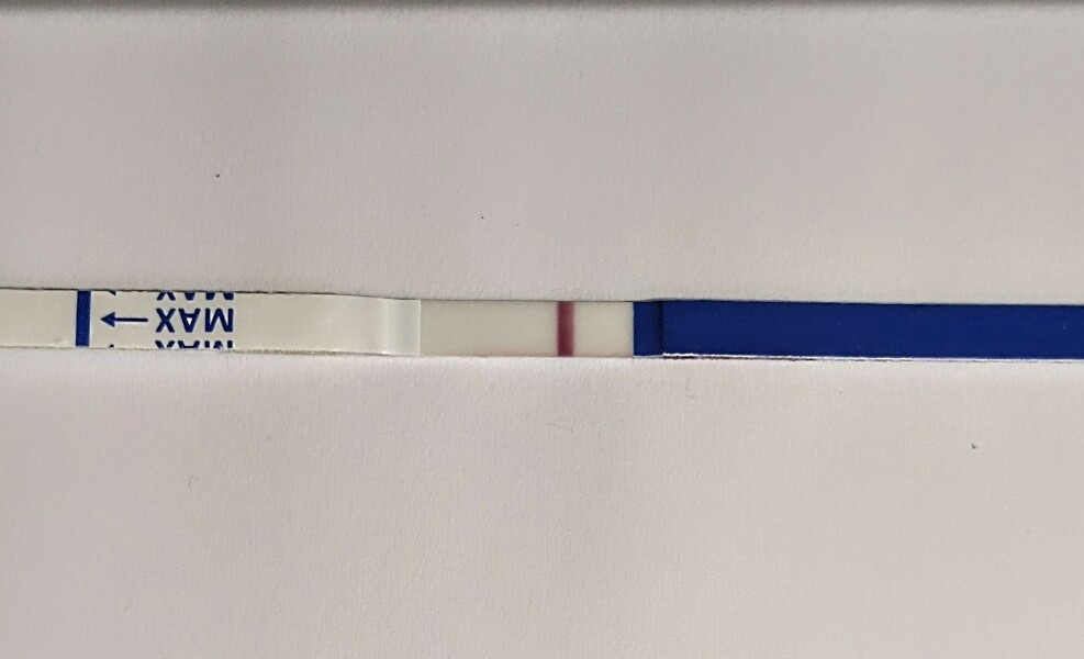 TWW after miscarriage