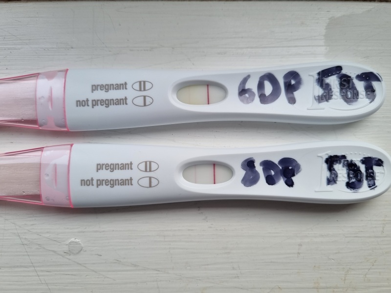 Create Fertility - Experiences (Part 3)