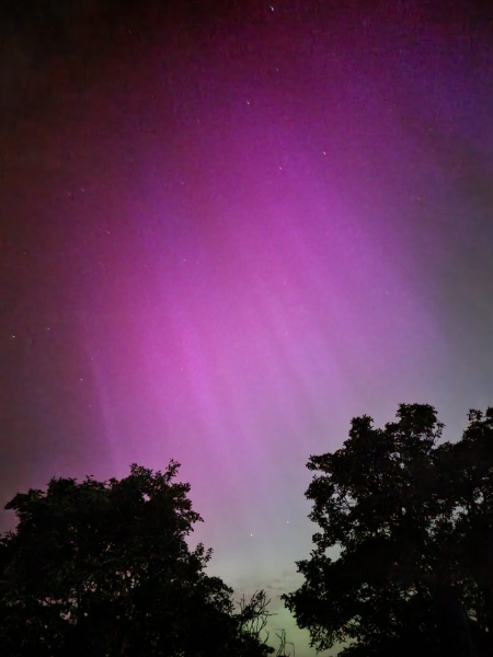 Did you see The Northern Lights (uk) any pictures?