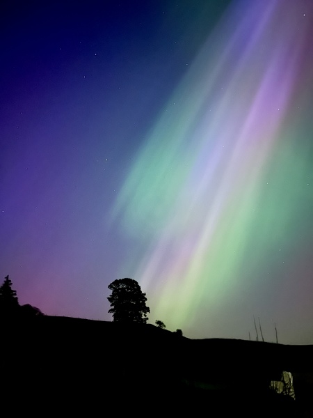 Northern Lights