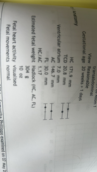 September 2024 - Thread 7! 🐣🧡💛❤️