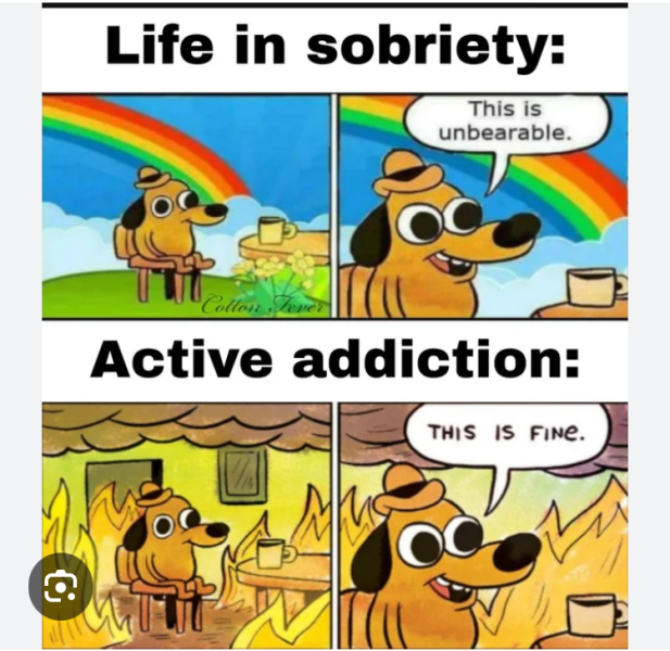 Day 1 or 1000 all welcome on the tulips and snowdrops thread 🌷