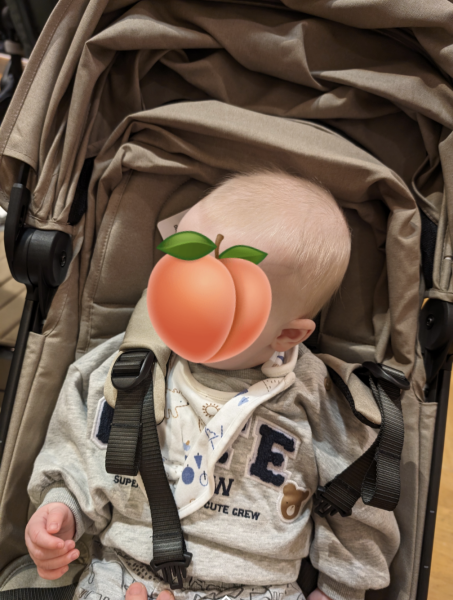 This £300 pram is too small