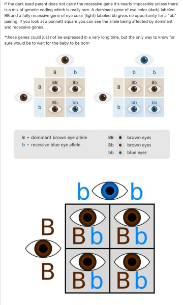 Can someone explain chances of 4 kids with blue eyes when one parent is brown eyed?