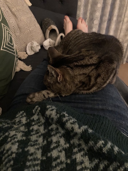 Our rescue boy…