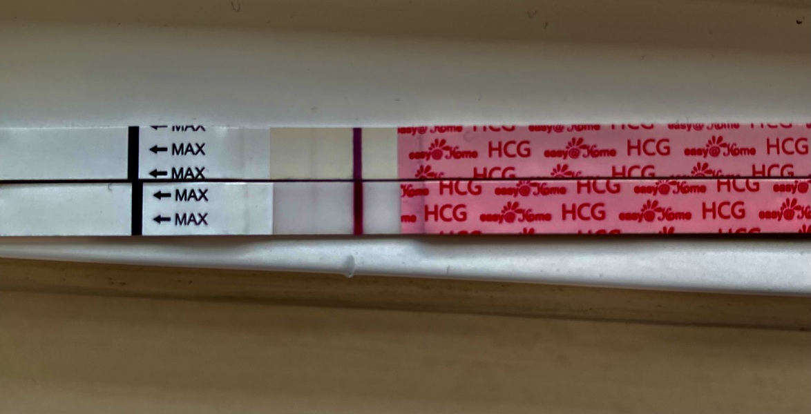 IVF/ICSI May or late April (Part 2)