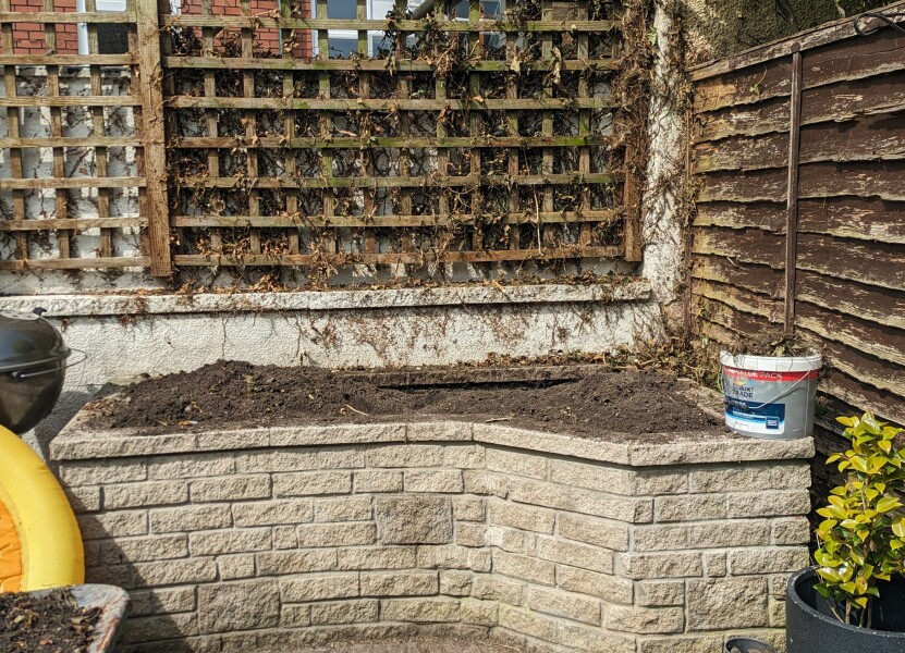 How to fill this flower bed!