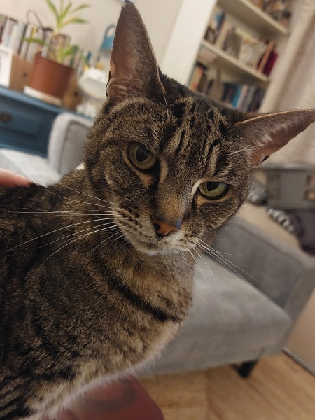 Expressions of noble disappointment please