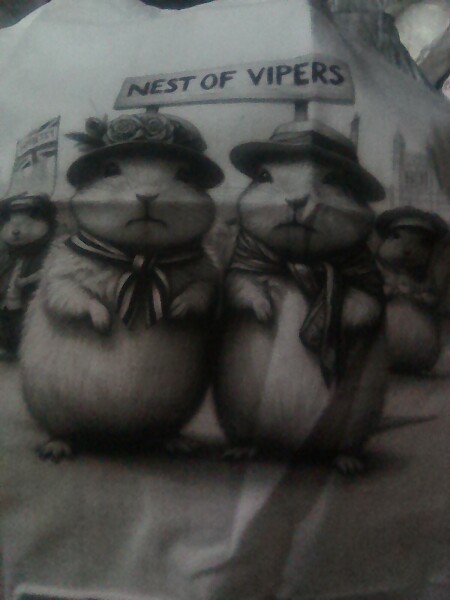 Aston University + gerbil merch thread