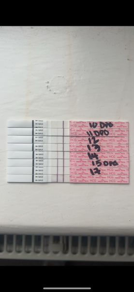 No symptoms 4 + 6 week, not another MC.