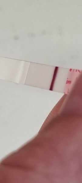 TTC after Early Miscarriage part 3