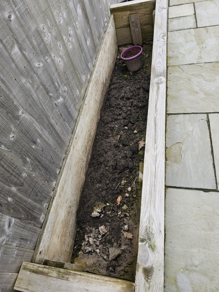 Planter Advice Needed