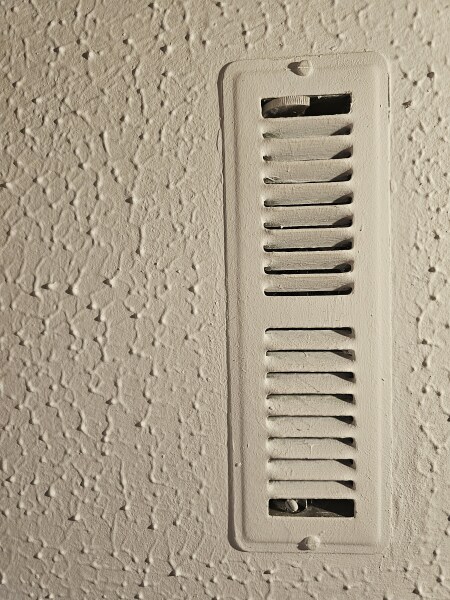 Moved house. Anyone know what this is?