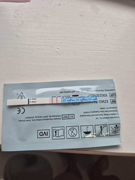 Positive opk. Period not yet arrived