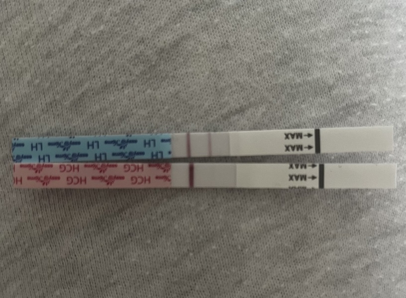 10dpo VVFL and higher LH