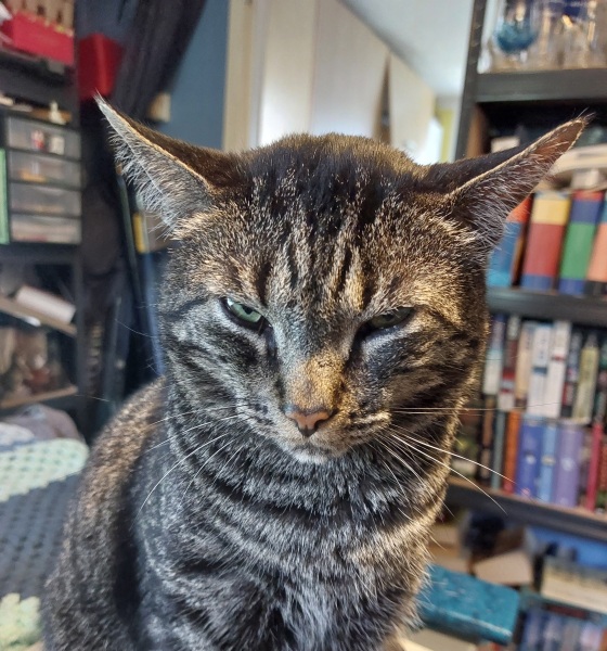 To think the UK will become a barren, post-apocalyptic, dystopian, hell-scape if Labour win?