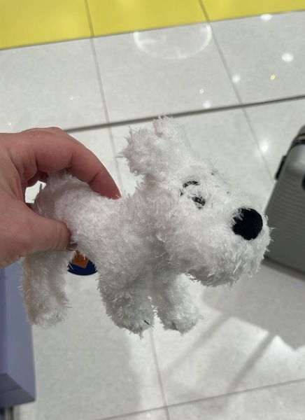 To be irritated that my dh couldn’t just buy the kids a souvenir each