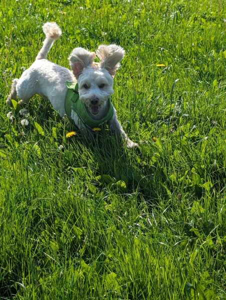 Thread 46 Sunak - don't rain on our parade