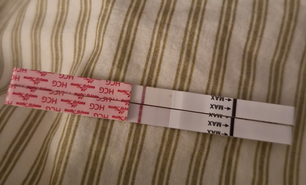 FET - day 8 Lines