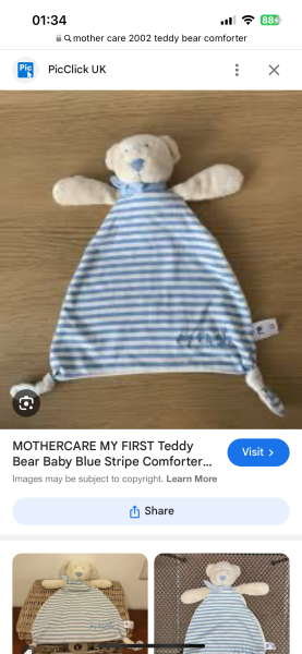 Can you help me.find a bear ?