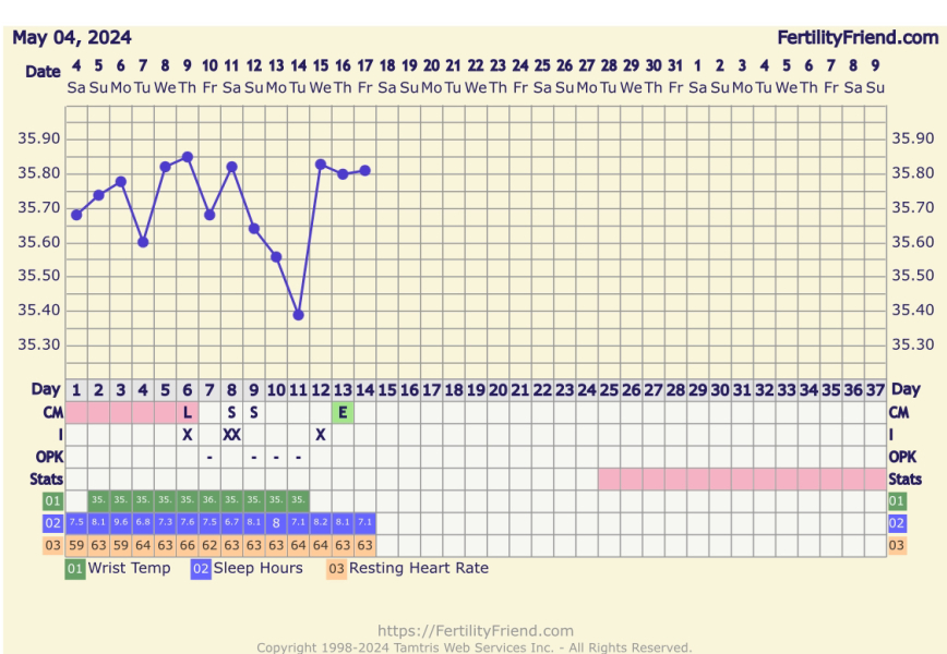 Another BBT question thread