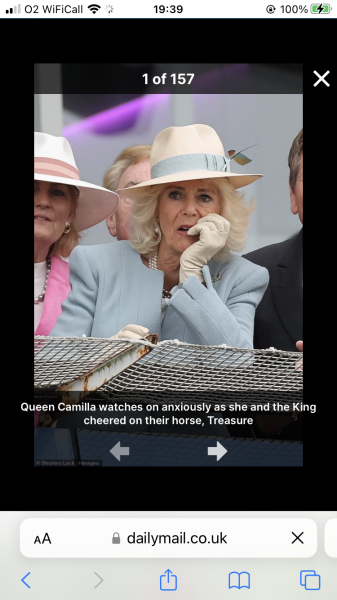 Royal Style - C.Rexing towards summer with hopes for happy days ahead