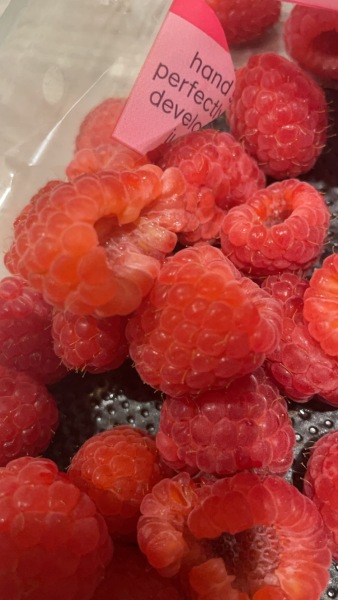 Would you have eaten it too?