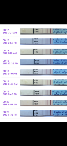 TTC after chemical pregnancy