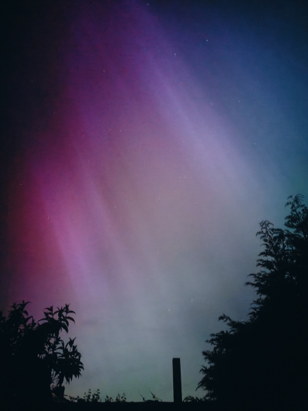 Anyone watching for Northern Lights tonight?