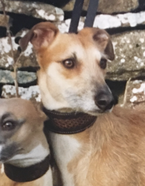 Selfridges refusing to refund £875 shoes- help!