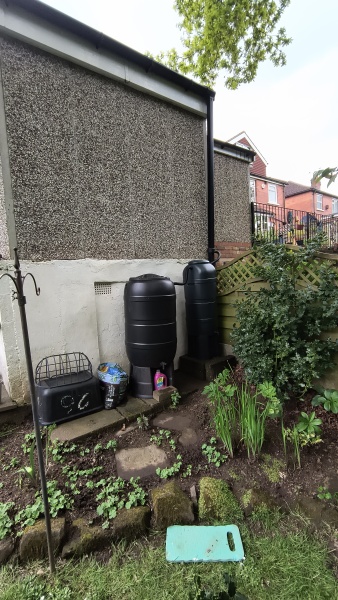 Inspiration for this wet and north facing spot