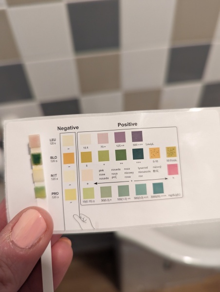 Could I get rid of this UTI without antibiotics?