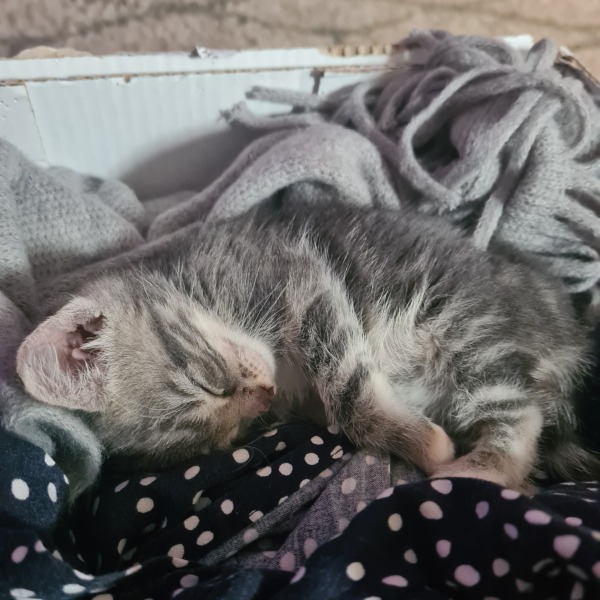 Why are you awake?