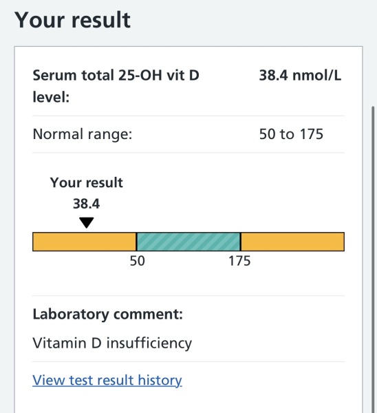 Can someone help me understand these blood results