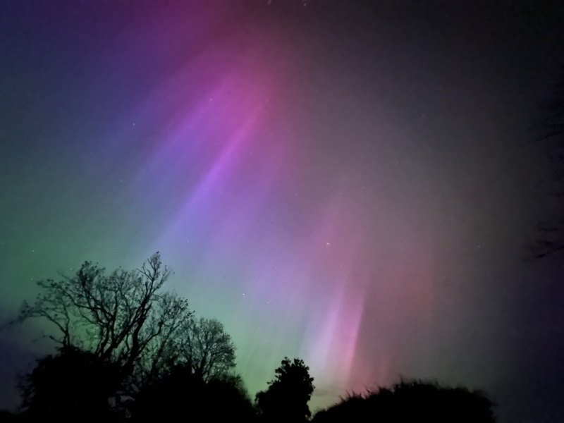 Thread 50 - Covid GCSE Cohort - New Year of Adulting