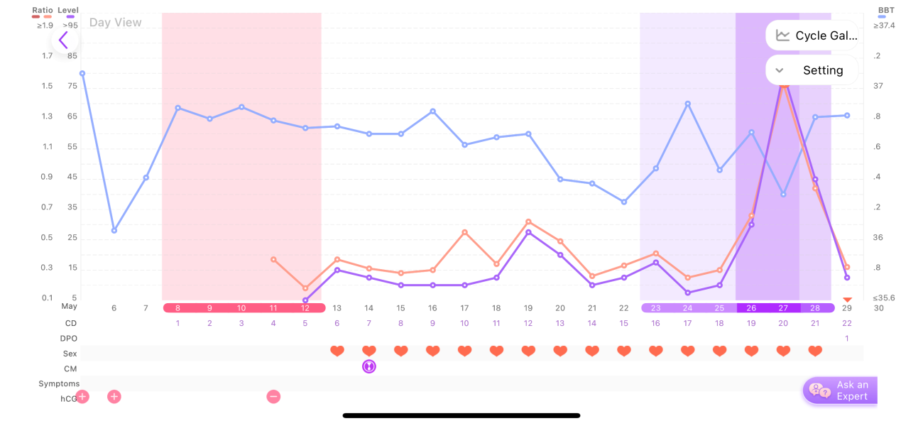 Success after a chemical pregnancy?