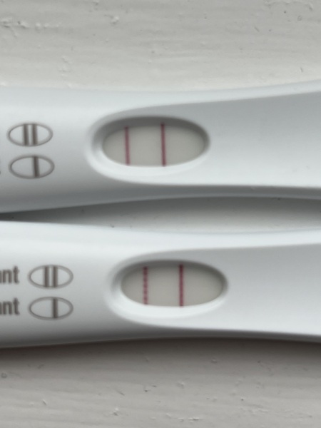 IVF/ICSI May or late April