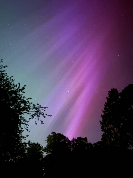 Anyone watching for Northern Lights tonight?