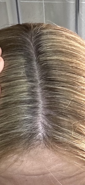 If you had your hair dyed yesterday, would these roots annoy you?