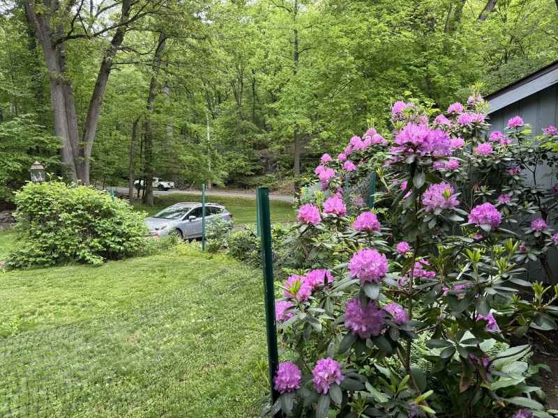 Come and tell me your dull and unexciting news 29: Calmly through the day