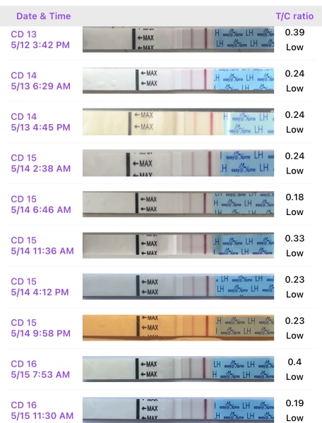 TTC after chemical pregnancy