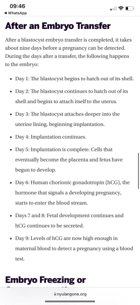 IVF/ICSI May or late April