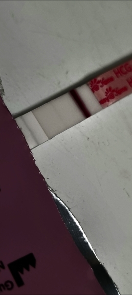 TTC after Early Miscarriage part 3