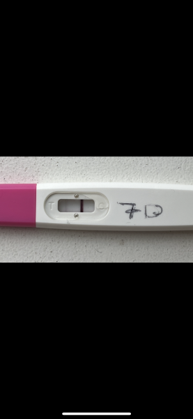 FET - day 8 Lines