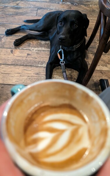 Puppy Survival Thread for New and Old Pups - Spring is around the corner!