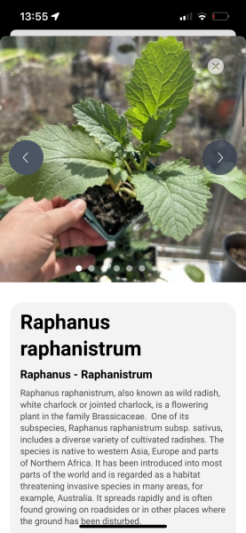 Plant ID